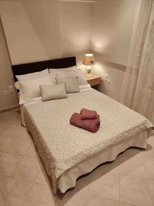 Lefkothea's House Appartamento